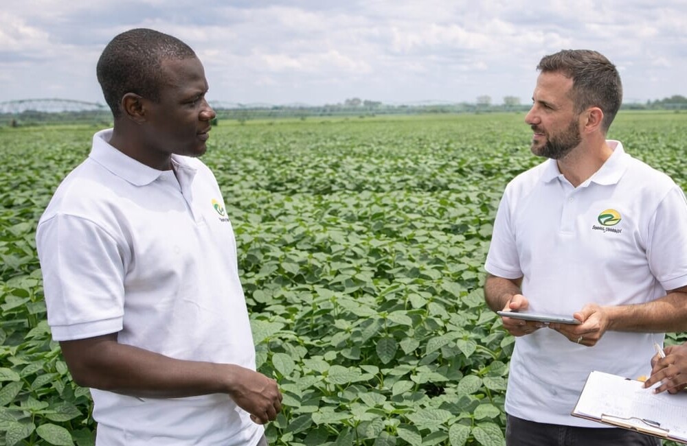 Extension team in soybean field